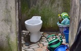 [ẢNH] 20 điều luật quái dị nhất thế giới